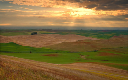 450545 (a): :1920x1200